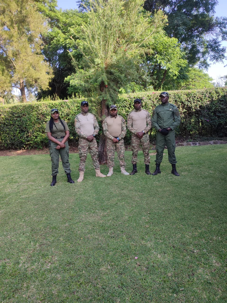 WhatsApp Image 2025 04 08 at 19.43.09